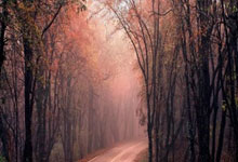 虎扑体育官网：萨拉赫接受1年续约利物浦 他想拿联赛和欧冠冠军.