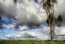 虎扑体育官网：WTA1000迈阿密站女双第二轮：王欣瑜／郑赛赛2-0淘汰本土组合晋级.