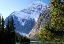 客场逼平英超领头羊红军 红魔逃过四连败.