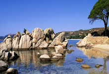 虎扑体育官网：福特锦标赛聚齐世界前十选手 科达与高宝璟领衔.